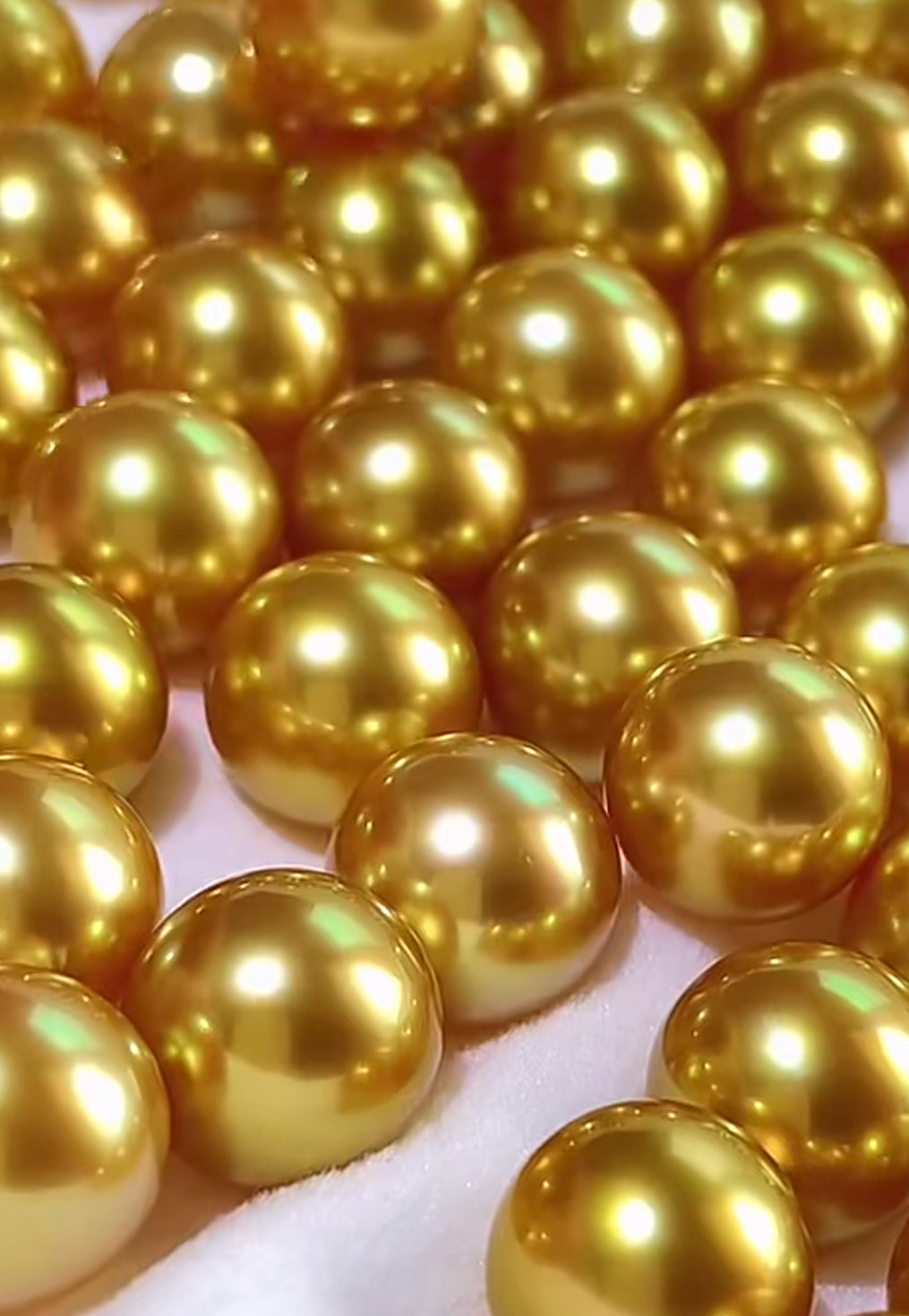 South Sea Golden Pearls